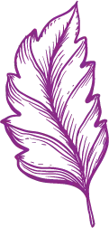 Purple Leaf - plant - line drawing - No Watermark PNG
