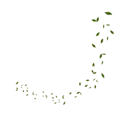 Falling Leaves - peaceful - Recommended PNG