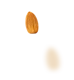 Almond - yummy - healthy - Lossless PNG