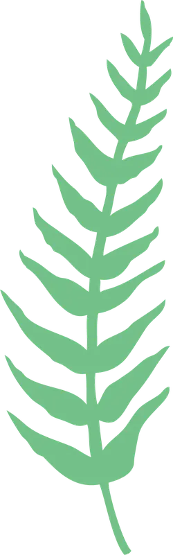 Fern Leaf - green - Transparent Layer PNG