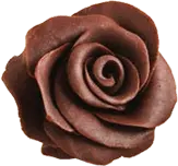 Rose - natural - beautiful - No Background PNG