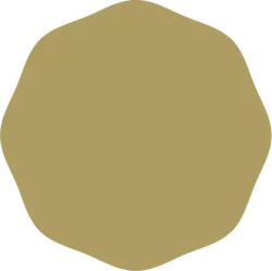 Irregular Polygon - irregular - PNG