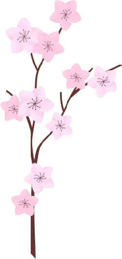 Cherry Blossom Branch - nature - Transparent Background PNG