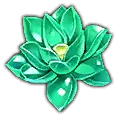 Succulent Plant - juicy - High Resolution PNG