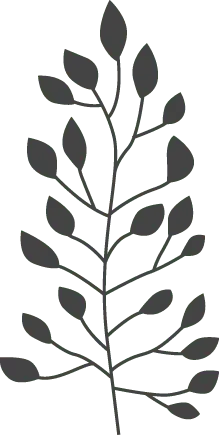 Branch Pattern - plant - Free PNG