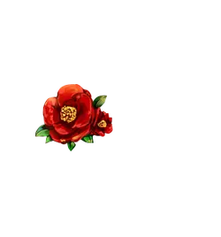 Red Flower - beautiful - Free Download PNG