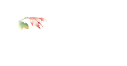 Red Flower - flower - High Download Count PNG