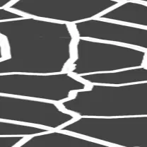 Zebra Pattern - geometric - Free Download PNG