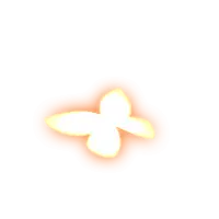 Butterfly - Free PNG - Trending PNG