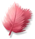Pink Feather - lightweight - High Resolution PNG