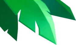 Green Leaves - leaf - nature - Transparent Background PNG