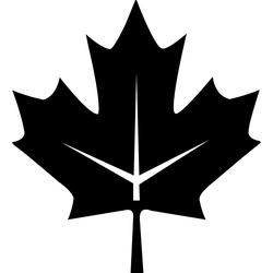 Black Owl - Curated PNG - owl - Pic 4