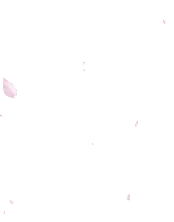 Pink Petals Falling - Transparent Background PNG - High Download Count PNG