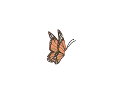 Monarch butterfly - insect - High Resolution PNG