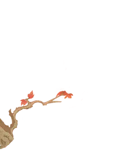 Autumn Leaves Branch - black background - Free PNG