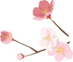 Highly Rated PNG - Cherry Blossom - pink