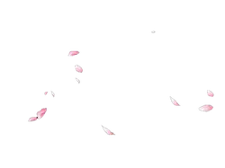 Pink Petals Falling - peaceful - High Resolution PNG
