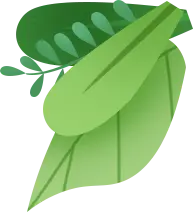 Green Leaves - Free Download PNG - nature