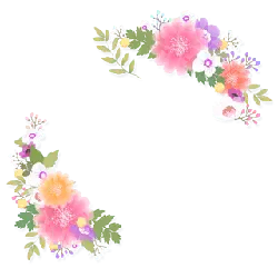 Colorful Flower Decoration - leaf - Transparent Background PNG