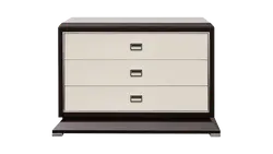Cabinet - Curated PNG