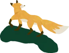 Fox - fox - forest - High Resolution PNG