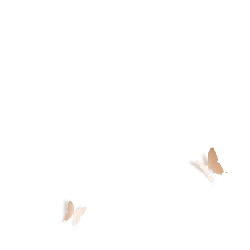 Two Butterflies Flying - nighttime - Transparent Layer PNG
