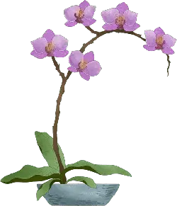 Orchid - flowers - Transparent Layer PNG