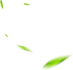 Green Light Spots - Free Download PNG