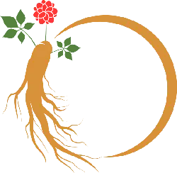 Root and Flower - growth - Lossless PNG