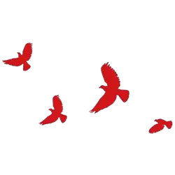 Flying Red Birds - red - PNG