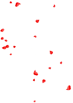 Red Petals - background - Transparent Layer PNG