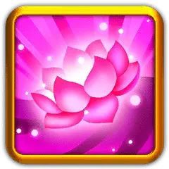 Pink Lotus Flower - No Background PNG