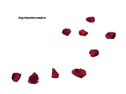 Rose Petals - natural - romantic - Free PNG