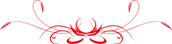 Abstract Art Pattern - red - symmetrical - High Resolution PNG