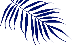 Blue Palm Leaf - blue - Transparent Layer PNG