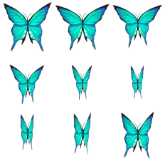Butterfly - symmetrical - wings - PNG Images
