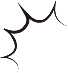 Spider Web - insect - mysterious - Transparent Background PNG