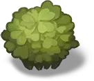 Clover - nature - Transparent Layer PNG