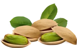 Pistachio - snack - Fast Download PNG