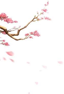 Cherry Blossom Branch - Designer Recommended PNG