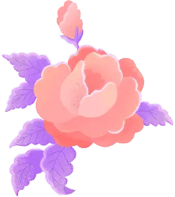 Pink Rose - Free PNG - No Watermark PNG