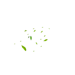 Green Leaves - nature - falling - PNG