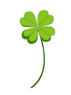 Clover - plant - four leafs - PNG Images