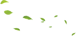 Leaves Falling - falling - PNG