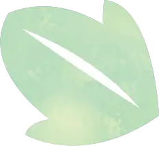 Lotus Leaf - nature - No Watermark PNG