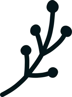 Branch - growth - Transparent Background PNG