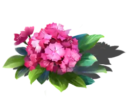 Hydrangea - plant - Designer's Pick PNG