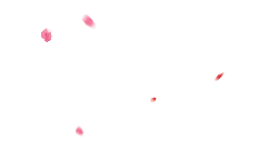 Pink Petals - Transparent Layer PNG