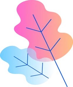 Colorful Leaves - shape - No Background PNG