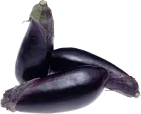 Eggplant - Trending PNG